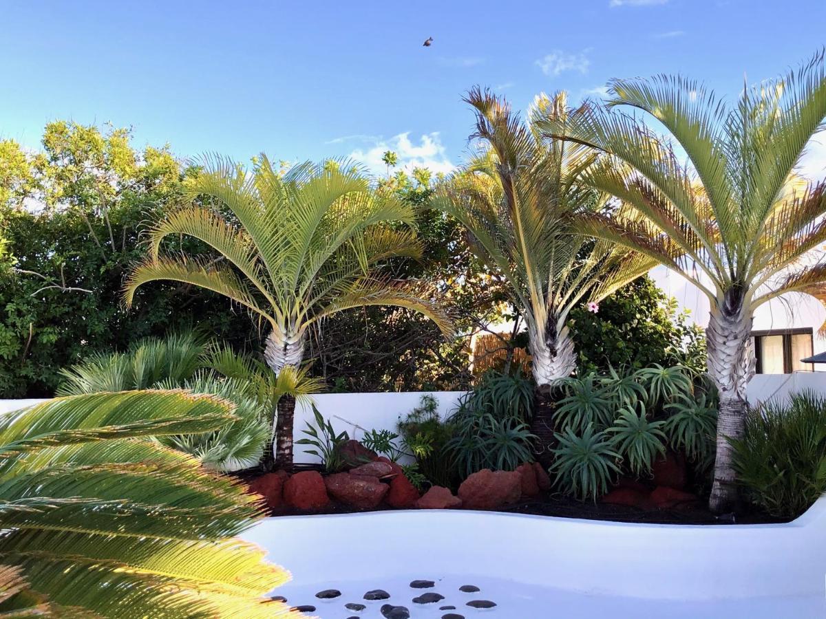 Villa Picasso Private Pool 普拉亚布兰卡 外观 照片